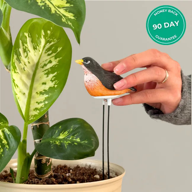 Folige Houseplant Saver