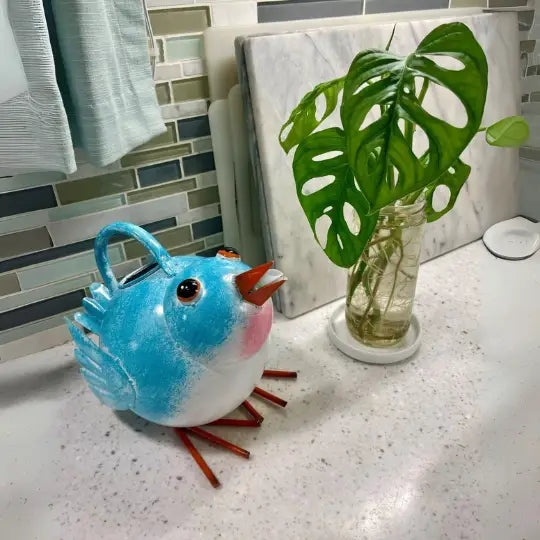 Folige Fat Bird Watering Can – Cute & Practical