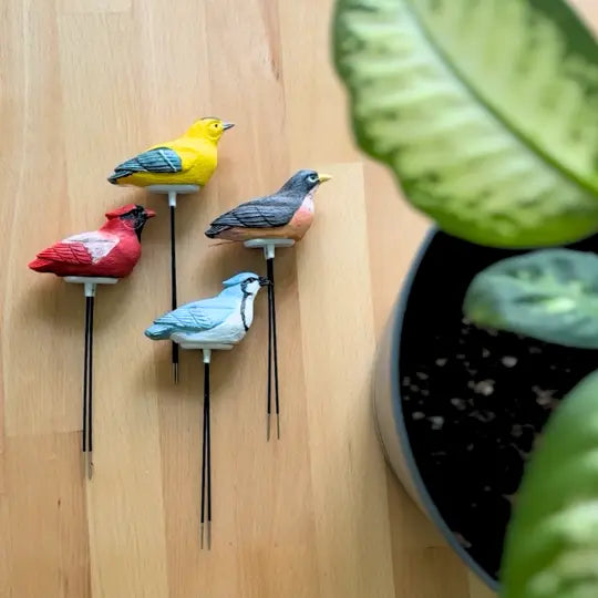 Folige Houseplant Saver