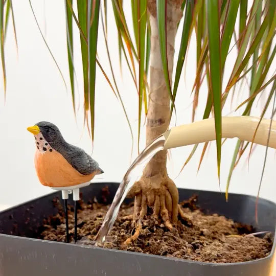 Folige Houseplant Saver