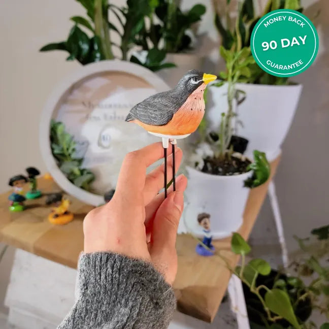 Folige Houseplant Saver