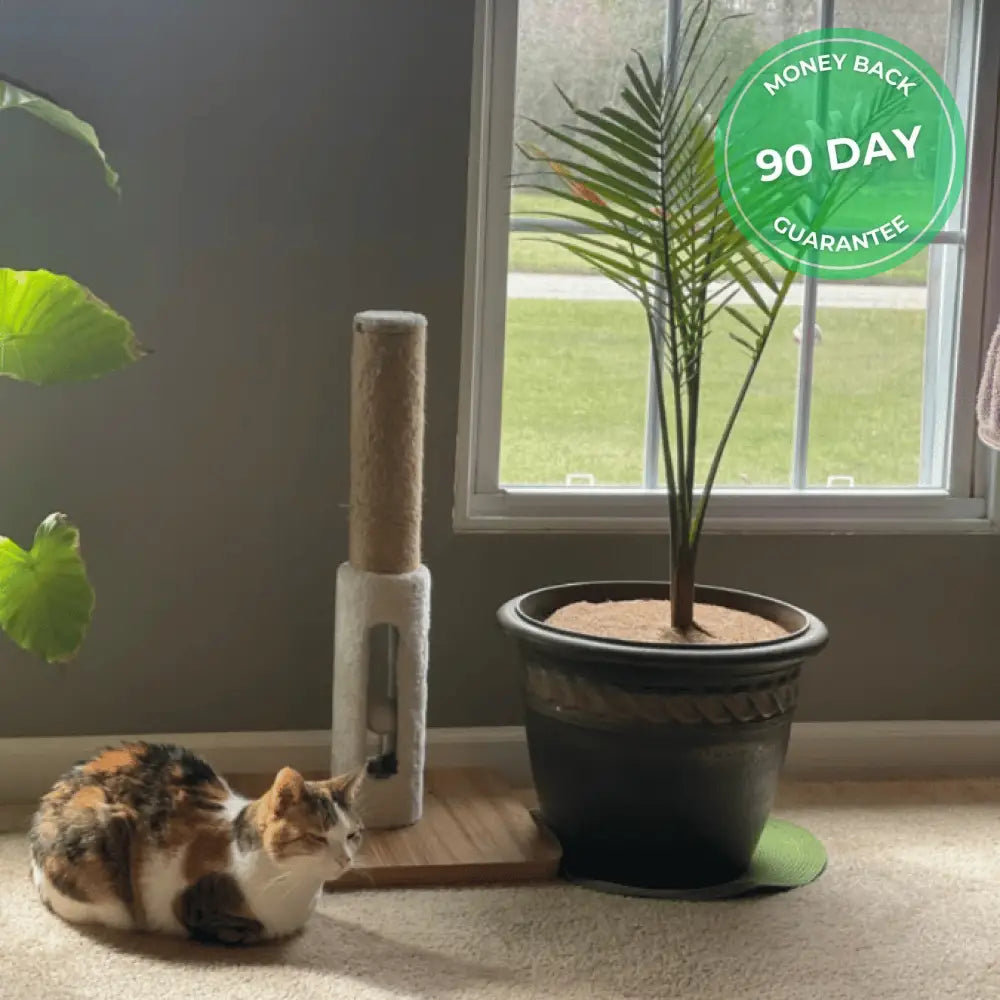 Natural Pet-Proof Plant Cover (Pack of 4)
