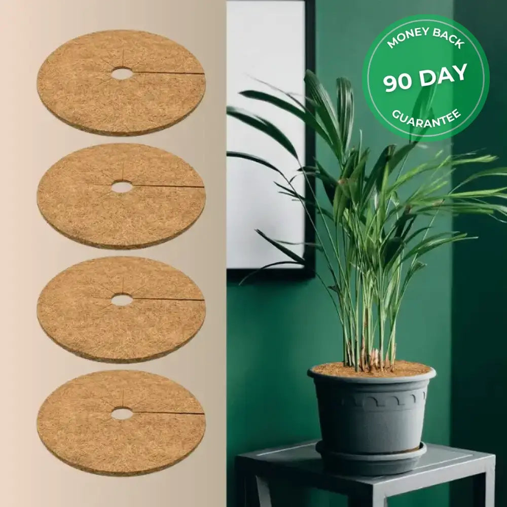 Natural Pet-Proof Plant Cover (Pack of 4)