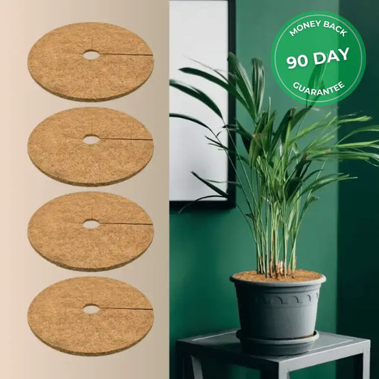Natural Pet-Proof Plant Cover (Pack of 4)