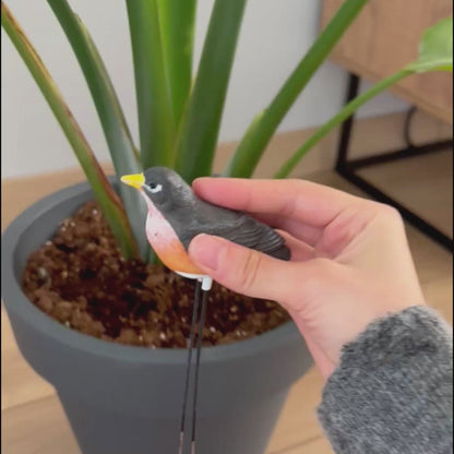 Folige Houseplant Saver