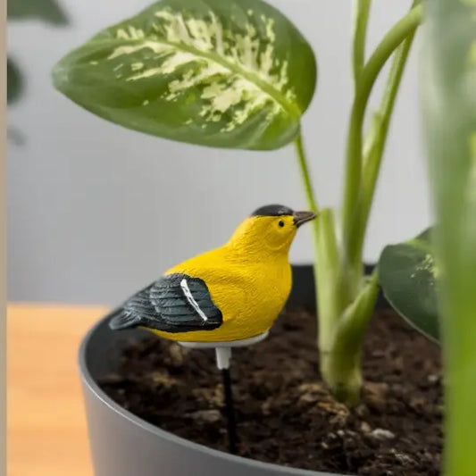 Folige Houseplant Saver